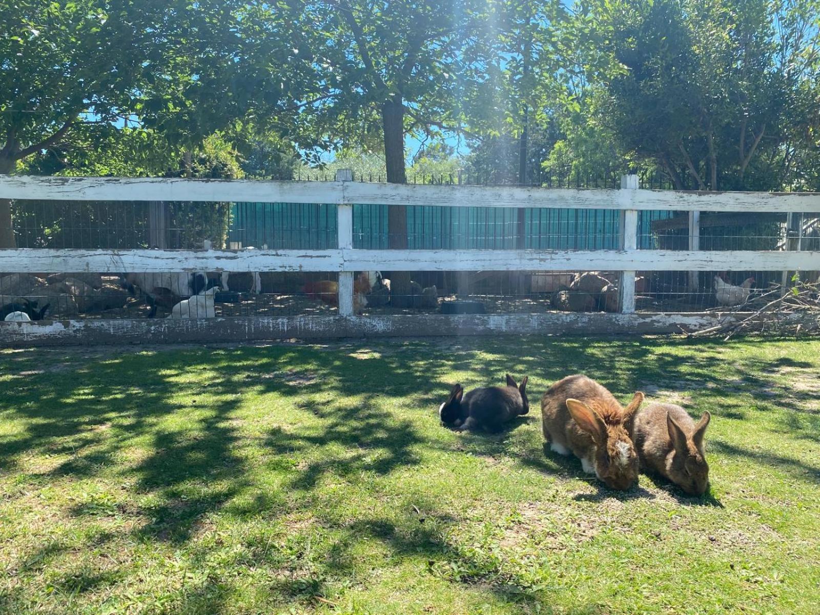 Domaine De La Sourco - Villa, Maisons & Chalet, Magnifique Havre De Paix En Provence ตรองส์-ออง-โปรวองซ์ ภายนอก รูปภาพ